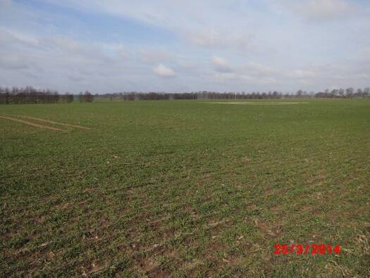 Land-/Forstwirtschaft zum Kauf 2.000.000 m² Grundstück neue Bundesländer Lehnitz Oranienburg 16515