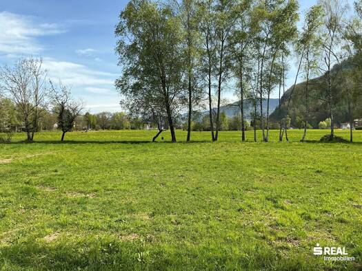 Grundstück zum Kauf 3.187 m² Grundstück Hohenems 6845
