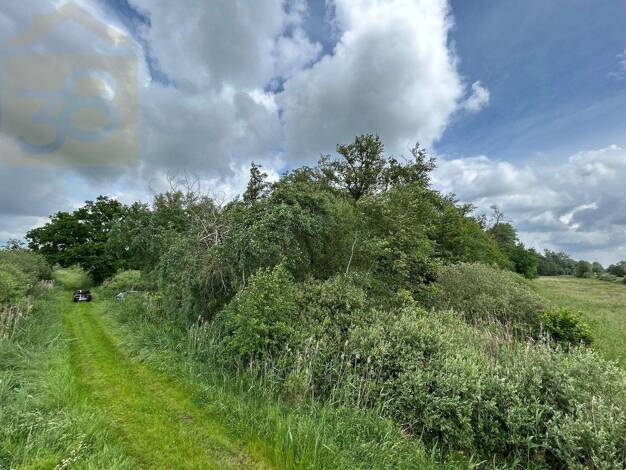 Sonstiges zum Kauf als Kapitalanlage geeignet 139.000 € 28.000 m² 28.000 m² Grundstück Brechtorf Rühen 38471