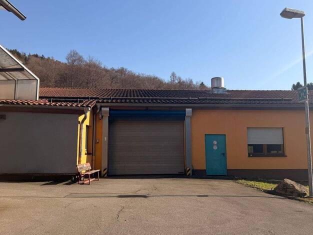 Lagerhalle zur Miete 5.530 € 1.400 m² Lagerfläche Straßburg 18 Wald-Michelbach 69483