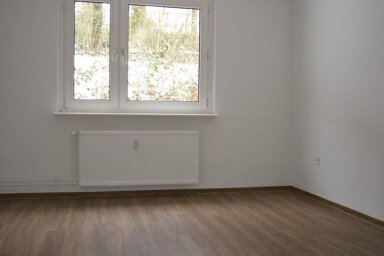 Wohnung zur Miete 348,36 € 2 Zimmer 48,1 m² frei ab 13.10.2024 Alsenstraße 17 Innenstadt / Staberg / Knapp Lüdenscheid 58511