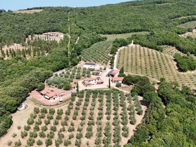 Villa zum Kauf 4.500.000 € 15 Zimmer 500 m² 670.000 m² Grundstück frei ab sofort Luxus Villa, Olivenhain, Einliegerwohnung Massa Marittima 58024