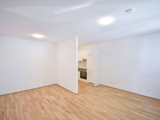 Wohnung zur Miete 696 € 1,5 Zimmer 34,5 m² 5. Geschoss frei ab sofort Wien 1200