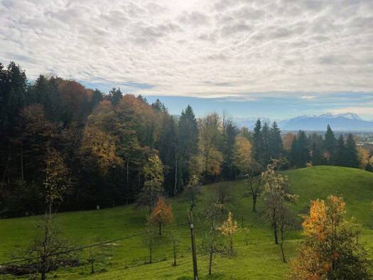 Wohnung zur Miete 618 € 2,5 Zimmer 71,7 m² frei ab sofort Meschen 2 Bildstein 6858