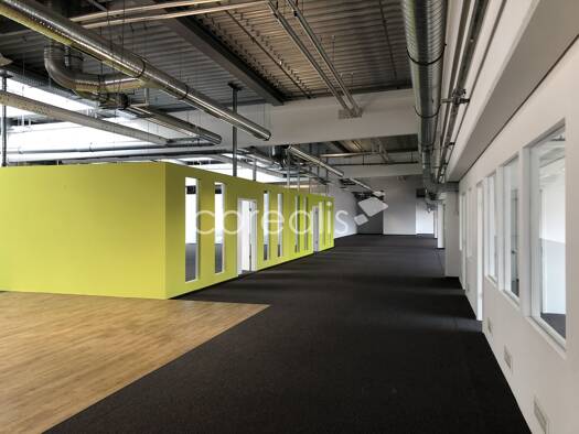 Bürofläche zur Miete provisionsfrei 9,95 € 3.050 m² Bürofläche teilbar ab 375 m² Berghausen Langenfeld 40764