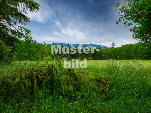 Landwirtschaftliche Fläche zum Kauf 4.000 € 1.606 m² Grundstück Somborn Freigericht 63579