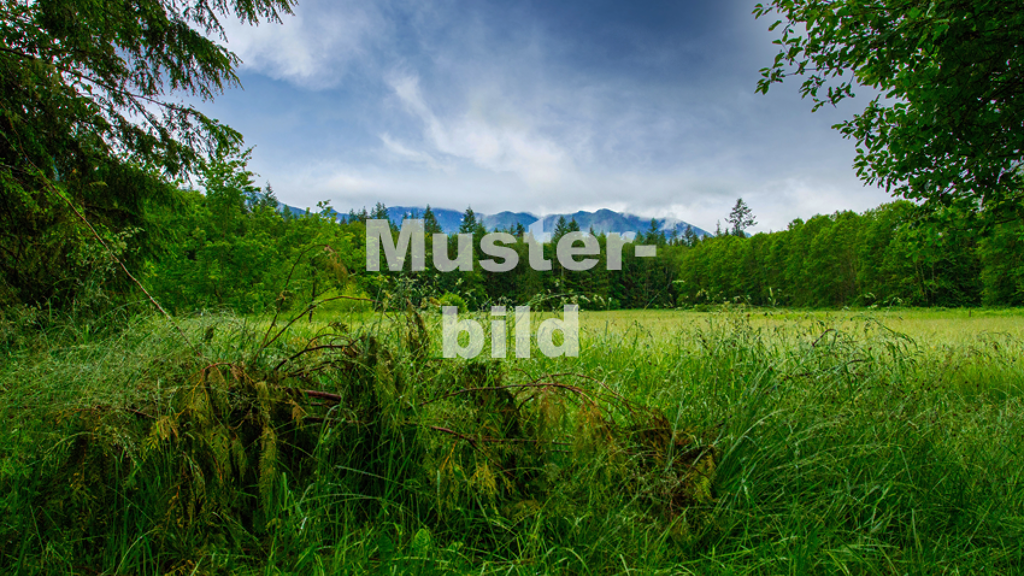 Landwirtschaftliche Fläche zum Kauf 4.000 € 1.606 m² Grundstück Somborn Freigericht 63579