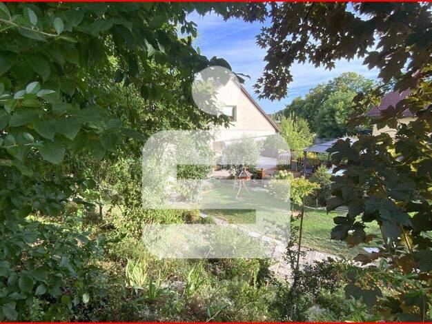 Einfamilienhaus zum Kauf 597.000 € 7 Zimmer 230 m² 1.100 m² Grundstück Bärnfels Obertrubach 91286