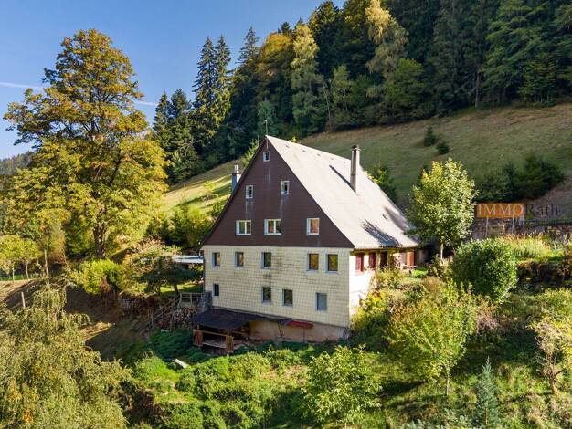 Bauernhaus zum Kauf 299.000 € 9 Zimmer 233 m² 25.988 m² Grundstück Gütenbach 78148