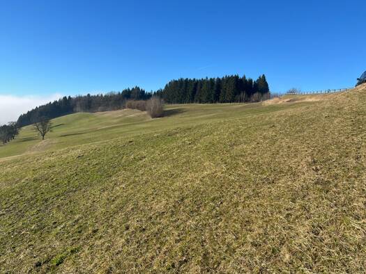 Landwirtschaftliche Fläche zum Kauf 67.000 € 16.330 m² Grundstück Seitenstetten Dorf 3353