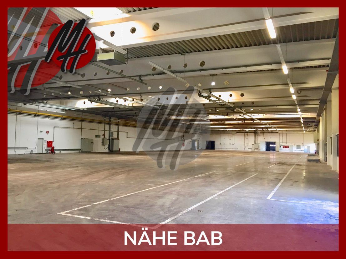 Lagerhalle zur Miete 6.700 m²<br/>Lagerfläche Dieburg 64807