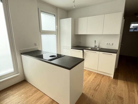 Wohnung zum Kauf 349.000 € 3 Zimmer 68,4 m² Liesing 1230