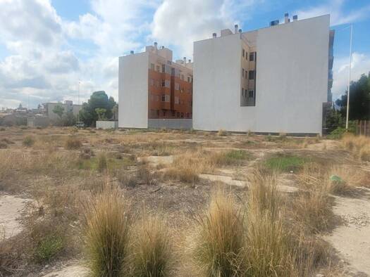 Acker-/Waldstück zum Kauf JAUME II 46 Mutxamel 03110