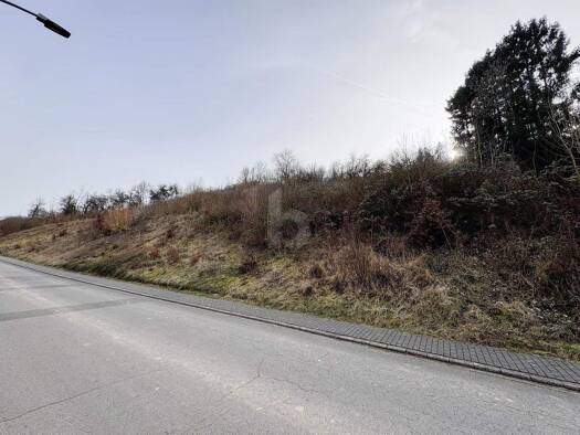 Grundstück zum Kauf 173.000 € 1.945 m² Grundstück Welschbillig 54298