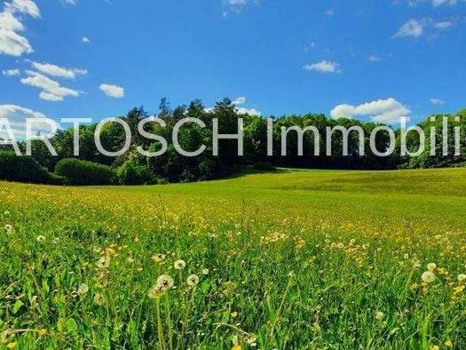 Land-/Forstwirtschaft zum Kauf 228.000 € 110.000 m² Grundstück Affalterthal Egloffstein 91349