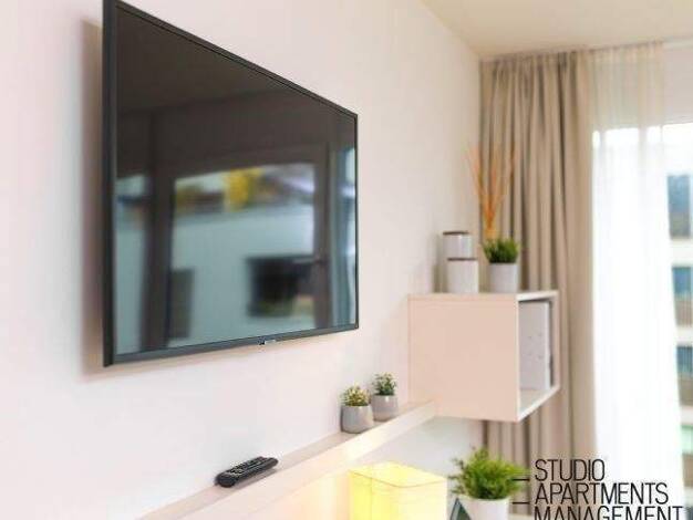 Studio zur Miete 750 € 1 Zimmer 29 m² frei ab 01.12.2025 Bechmann-Rahn-Weg 2 Innenstadt Erlangen 91052