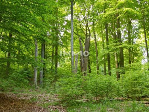 Land-/Forstwirtschaft zum Kauf 49.999 € 13.000 m² Grundstück Weinitzen 8045