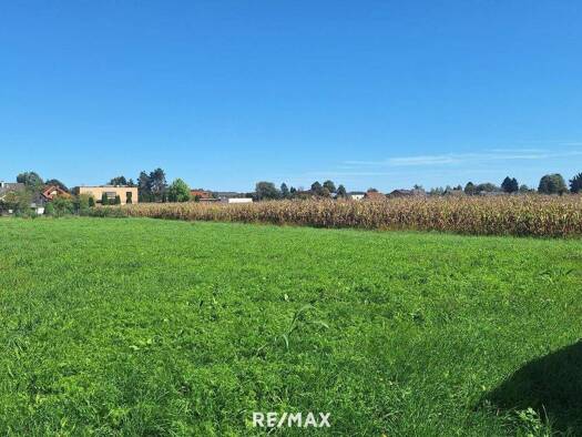 Grundstück zum Kauf 118.000 € 1.262 m² Grundstück Straß in Steiermark 8472