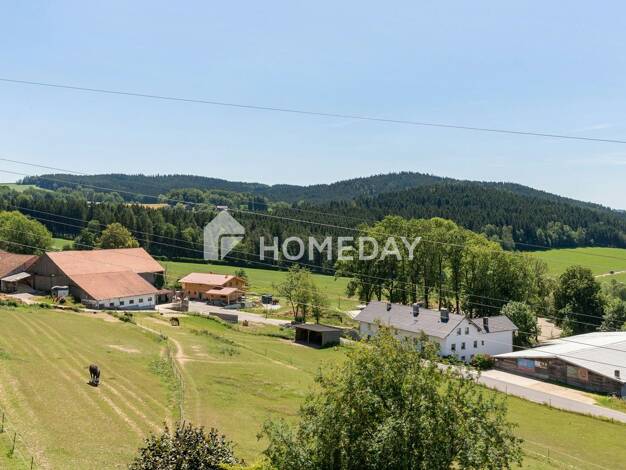 Wohnung zum Kauf 115.000 € 2 Zimmer 58,2 m² 3. Geschoss Regen Regen 94209