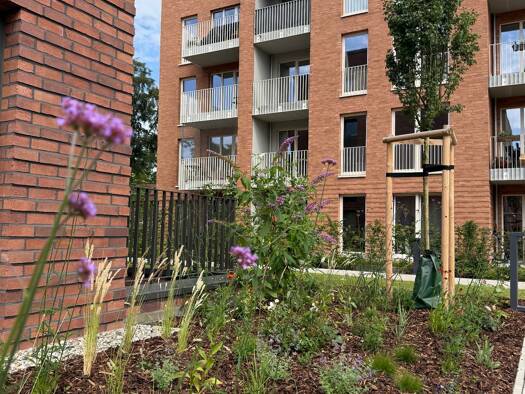Wohnung zur Miete - Erstbezug nur mit Wohnberechtigungsschein 431 € 2,5 Zimmer 59,4 m² 1. Geschoss frei ab 01.03.2027 Frieda-Reimann-Straße 4 Rissen Hamburg 22559