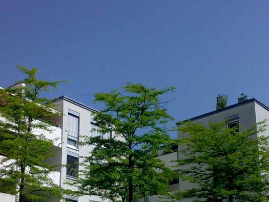 Studio zur Miete 450 € 1 Zimmer 54,6 m² frei ab 01.07.2026 Löbervorstadt Erfurt / Löbervorstadt 99096