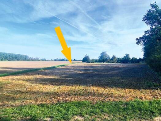 Grundstück zum Kauf 27.500 € 17.190 m² Grundstück Waltersdorf Meuselwitz 04610