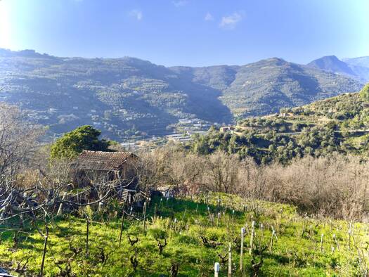 Grundstück zum Kauf 90.000 € 10.328 m² Grundstück Dolceacqua 18035