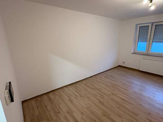 Wohnung zur Miete 650 € 3 Zimmer 65 m² EG frei ab sofort Nürnberg 90439