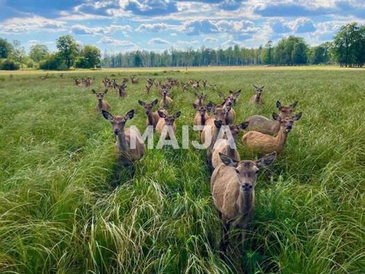 Verkaufsfläche zum Kauf 800.000 € Stradi 4417
