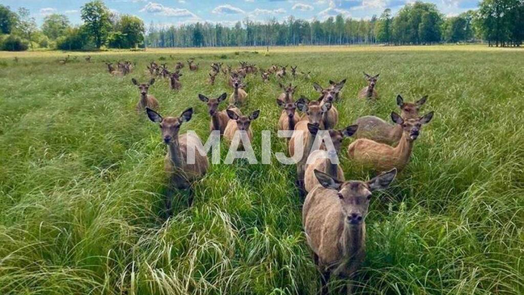 Verkaufsfläche zum Kauf 800.000 € Stradi 4417