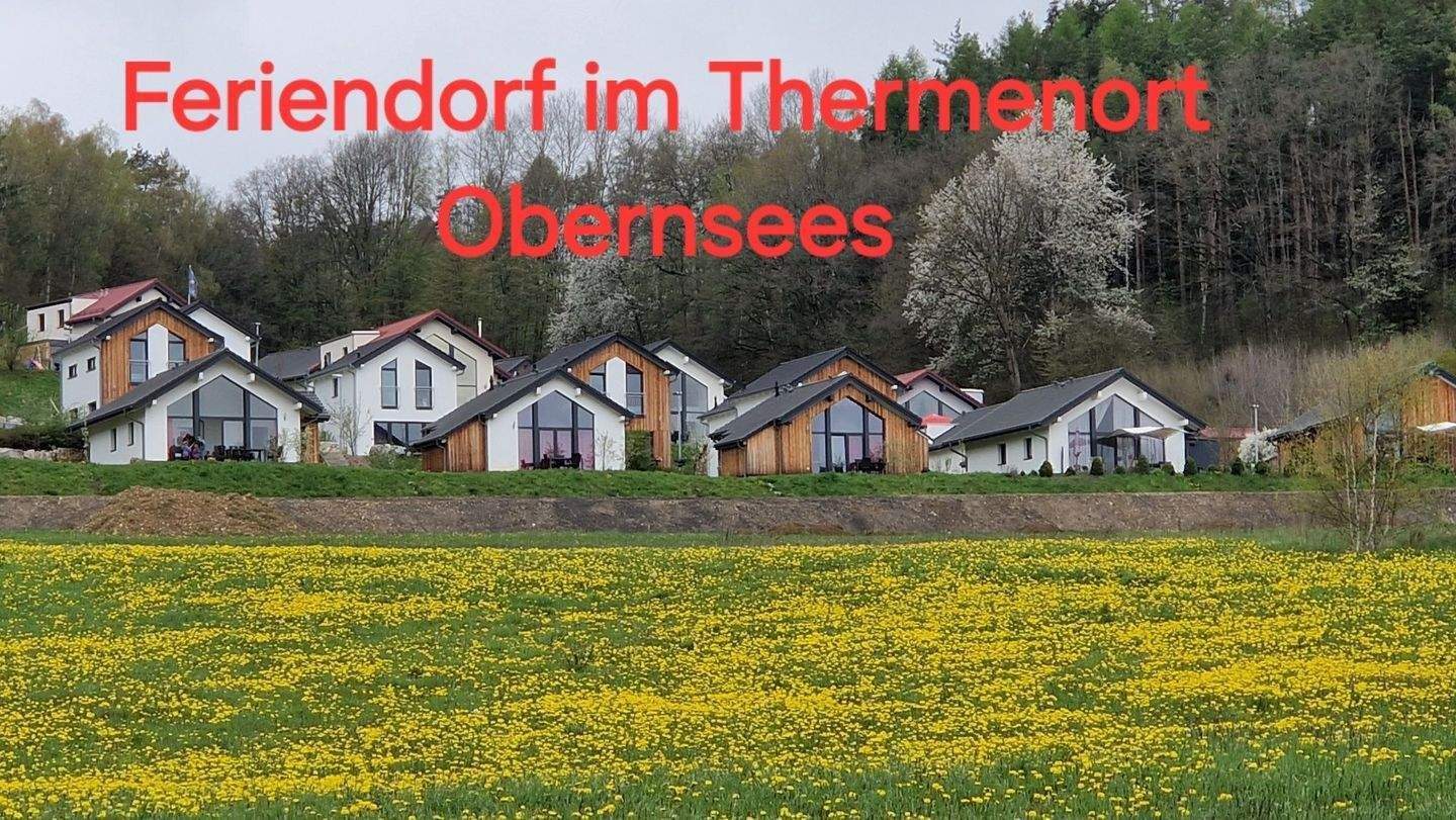 Immobilie in Mistelgau - Einziehen & Wohlfühlen. Vollmöblierter Bungalow im Ferien- und Thermendorf Obernsees.  - Bild 1