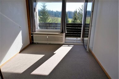 Apartment zur Miete 330 € 1 Zimmer 30 m² 5. Geschoss frei ab 01.11.2024 Kniebis Freudenstadt 72250