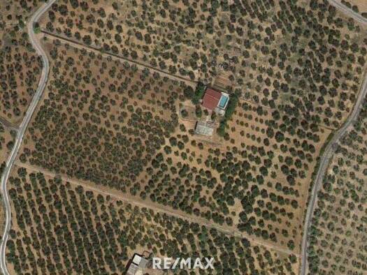 Gartenbau zum Kauf 500.000 € Carpino 71010