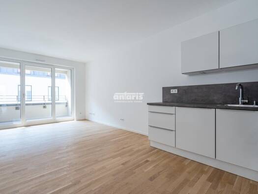 Wohnung zur Miete 1.150 € 3 Zimmer 76,8 m² frei ab 16.09.2026 Innere Altstadt Ortsamtsbereich Altstadt 01067