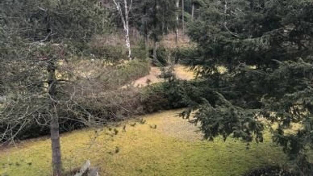 Wohnung zur Miete 550 € 3 Zimmer 74 m² 2. Geschoss frei ab sofort Franz-Betz-Straße 78 Zwiesel 94227