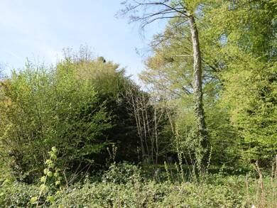 Grundstück zum Kauf 390.000 € 939 m² Grundstück Kaldenkirchen Nettetal 41334