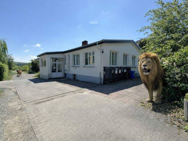 Haus zum Kauf 1.990.000 € 23 Zimmer 153,3 m² 2.566 m² Grundstück Trautheim Mühltal / Trautheim 64367