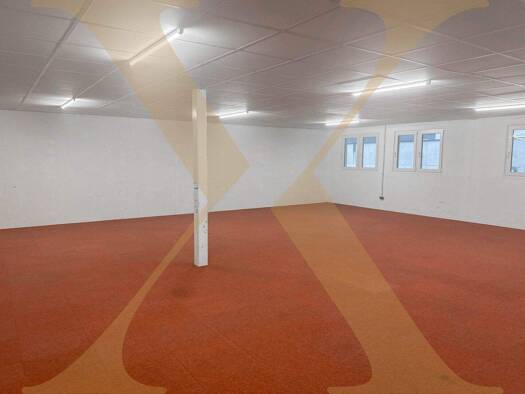 Halle/Industriefläche zur Miete provisionsfrei 1.165 € 132 m² Lagerfläche Hörsching 4063