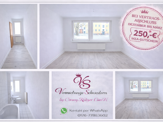 Wohnung zur Miete 255 € 2 Zimmer 46,6 m² EG Geibelstraße 116 Gablenz Chemnitz 09127