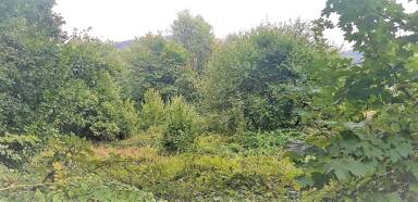 Grundstück zum Kauf 170.000 € 1.465 m² Grundstück Bernberg Gummersbach 51647
