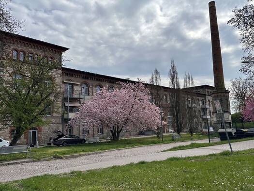 Wohnung zur Miete 350 € 2 Zimmer 44 m² Calbe Calbe (Saale) 39240