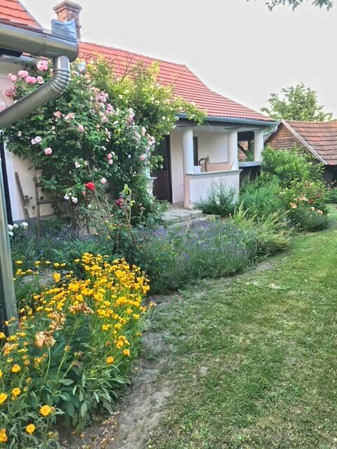 Einfamilienhaus zum Kauf 249.000 € 10 Zimmer 230 m²<br/>Wohnfläche 2.982 m²<br/>Grundstück Pat 8825