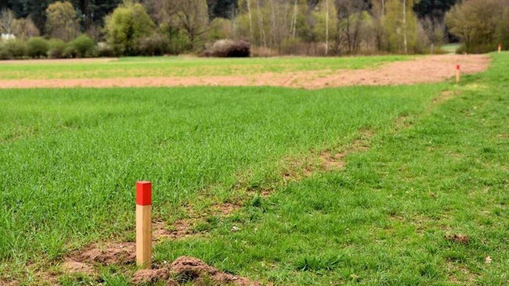 Grundstück zum Kauf provisionsfrei 95.700 € 75.882 m² Grundstück Schlichenhöfle Althütte 71566