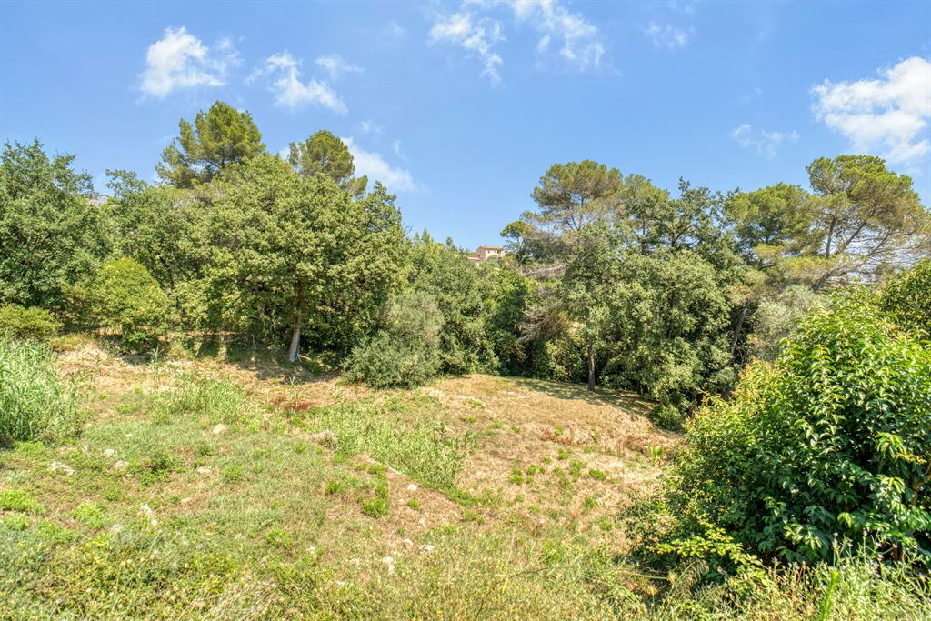 Grundstück zum Kauf 1.566.000 € 4.500 m²<br/>Grundstück Les Colles-Camp Lauvas-Font de l'Orme MOUGINS 06250