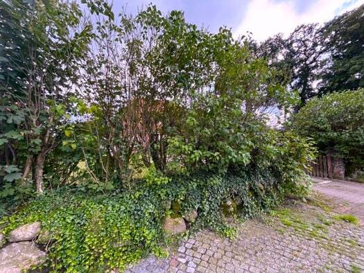 Grundstück zum Kauf als Kapitalanlage geeignet 239.000 € 3.101 m² Grundstück Heinbockel 21726