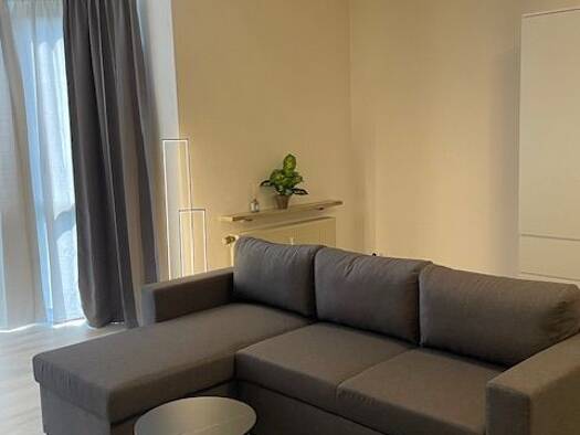 Wohnung zur Miete 660 € 1 Zimmer 51 m² Geschoss 1/3 frei ab sofort Ammerndorf 90614