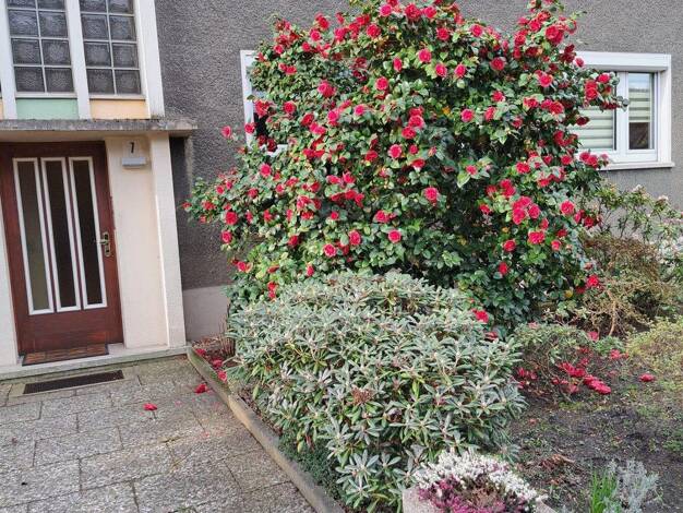 Wohnung zur Miete 500 € 3 Zimmer 53 m² 2. Geschoss frei ab 01.11.2026 Eigen Bottrop 46240