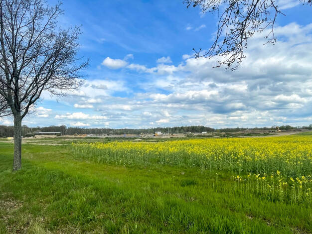 Gewerbegrundstück zum Kauf 895.000 € 7.500 m² Grundstück Grimma Grimma 04668
