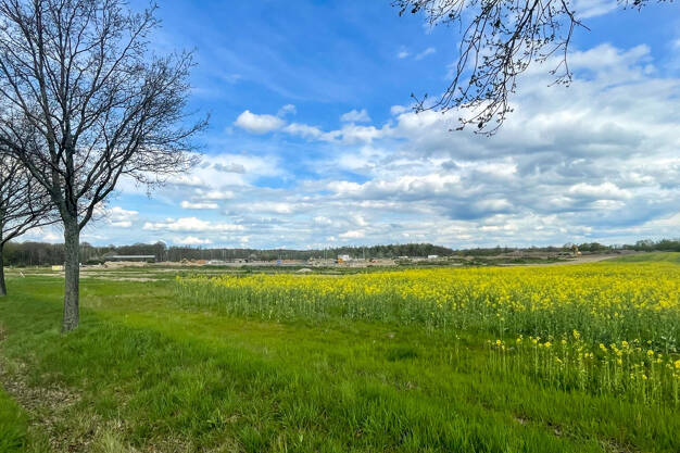 Gewerbegrundstück zum Kauf 895.000 € 7.500 m² Grundstück Grimma Grimma 04668