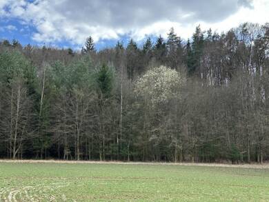 Land-/Forstwirtschaft zum Kauf 13.500 € 11.310 m² Grundstück Oberachtel Hirschbach 92275